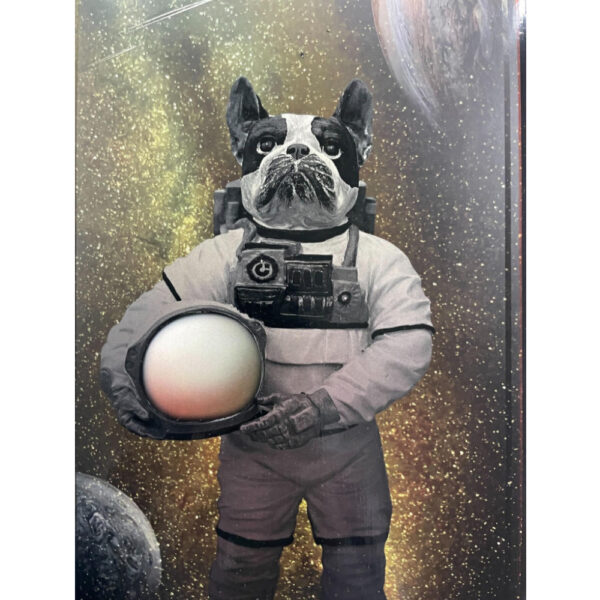 Space Dog Skateboard